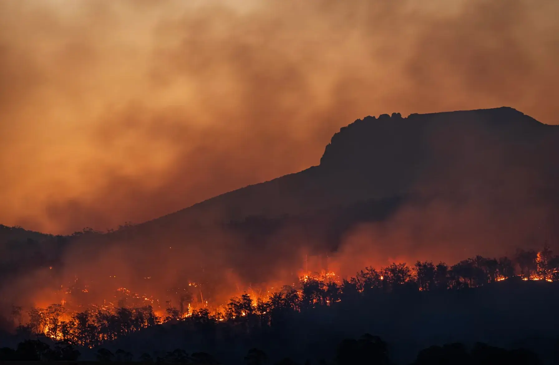 bahaya kabut asap kebakaran hutan